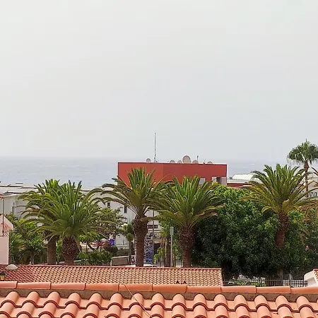 Palo Blanco Ocean View 250 M To The *